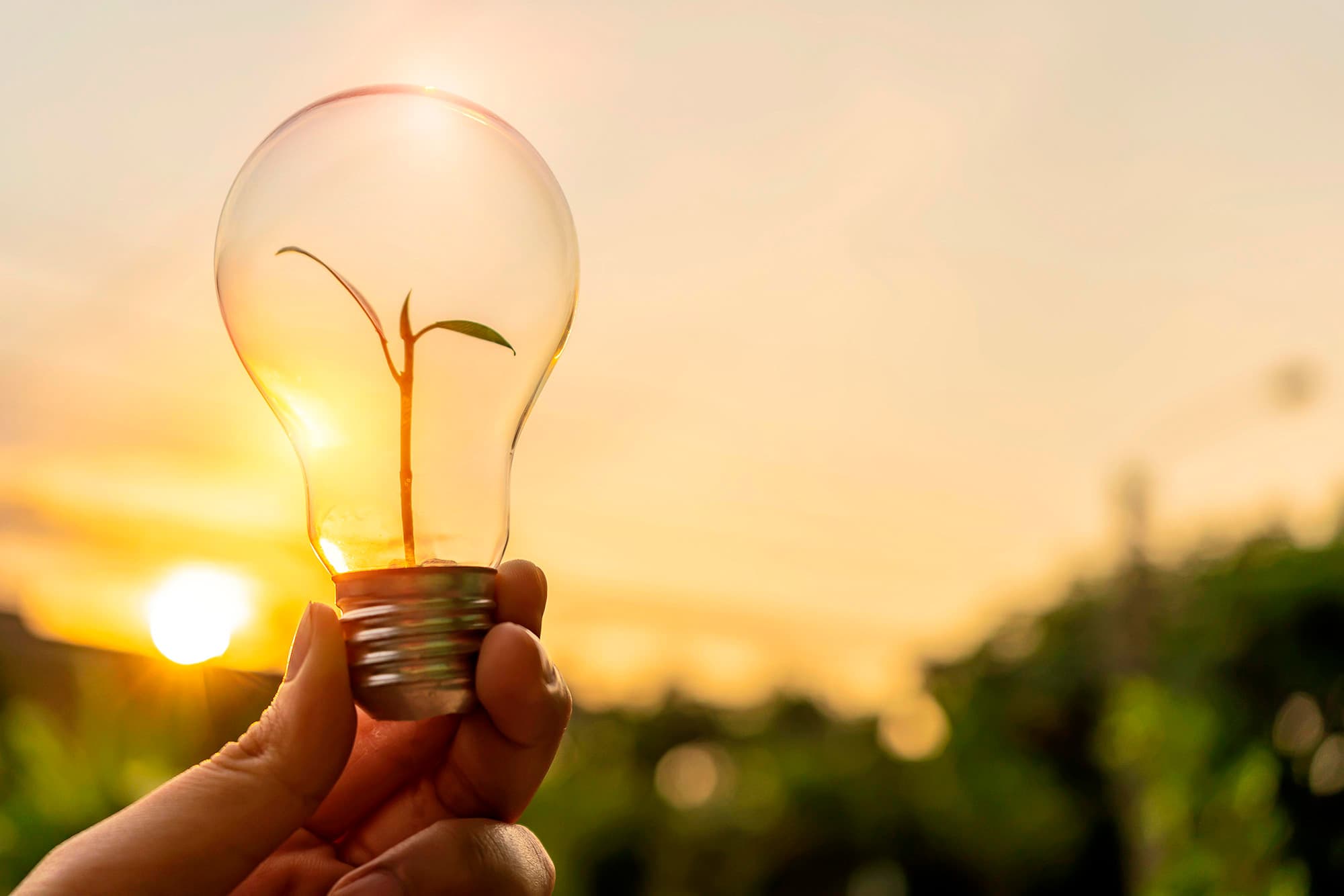 ODS 7 FACORSA energía asequible no contaminante productos reducen consumo energético