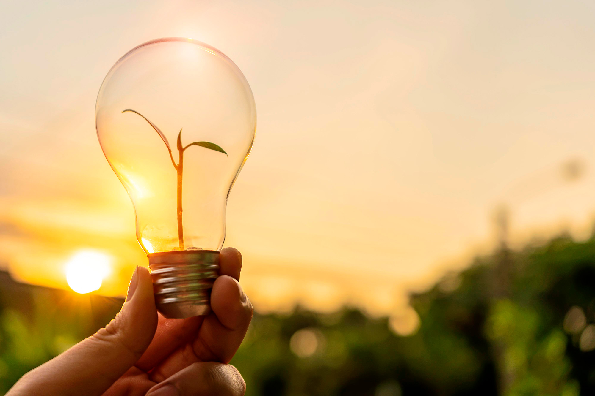 ODS 7 FACORSA energía asequible no contaminante productos reducen consumo energético